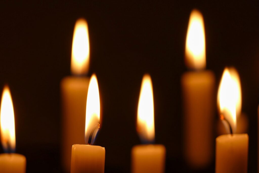 Insumos profesionales para cerería en Piñuela México