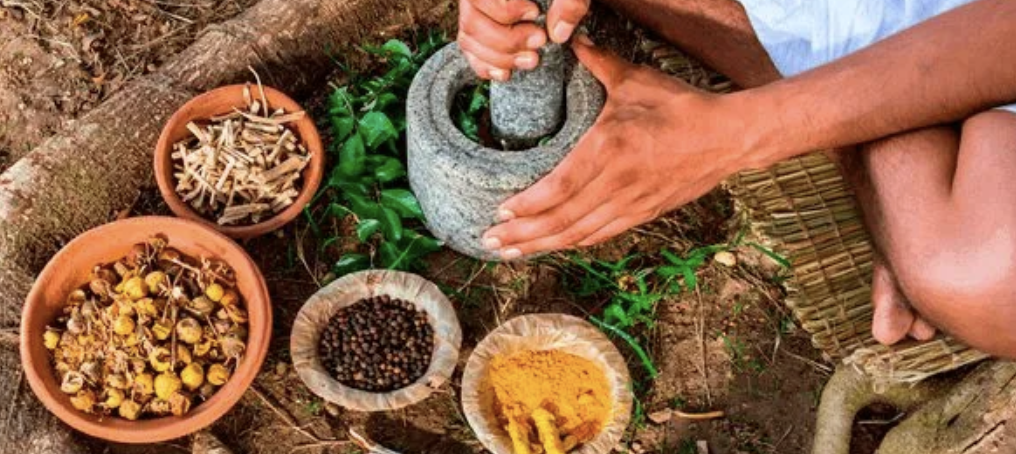 Primer plano de una persona moliendo hierbas en un mortero de piedra rodeada de cuencos con cúrcuma, pimienta y raíces medicinales.
