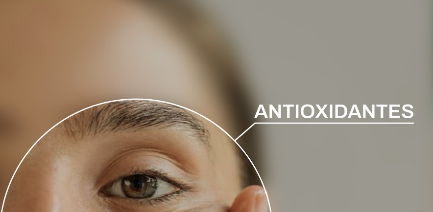 Primer plano detallado del ojo y la ceja de una persona con un gráfico circular superpuesto que destaca la palabra ANTIOXIDANTES.
