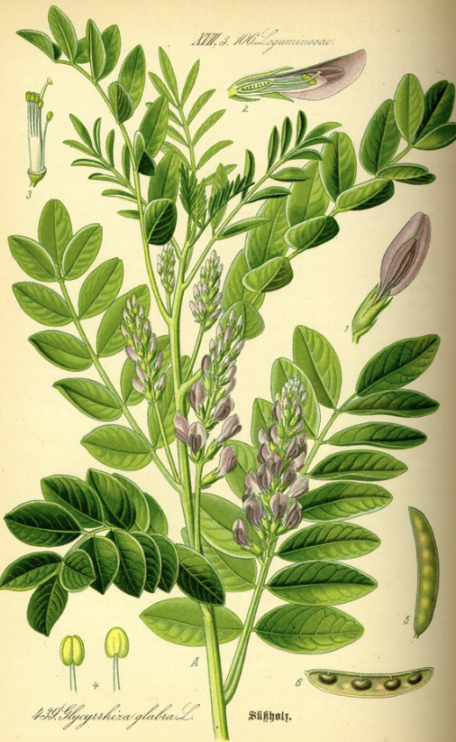 Vista de dos manos juntas mostrando manchas de la edad y lentigos solares en el dorso para evaluar la salud de la piel.