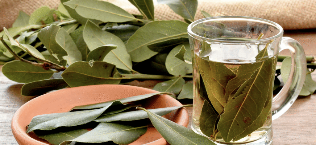 Vaso de vidrio con té de laurel rodeado de hojas secas y frescas de laurel sobre una mesa de madera.